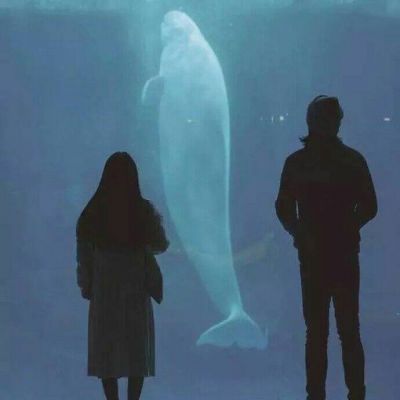  崩坏3女武神的堕落餐厅第5季玩法  -  mgm
